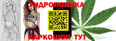 дживик Бийск