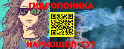 дживик Бийск