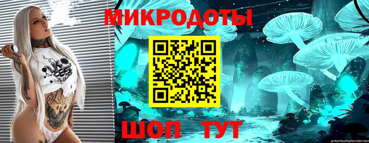 Псилоцибиновые грибы Psilocybine cubensis Жуковский